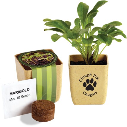 Flower Pot Set w/Marigold Seeds