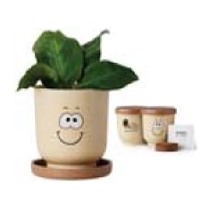 Goofy Group™ Grow Pot Eco Planter w/Basil Seeds
