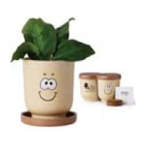 Goofy Group™ Grow Pot Eco-Planter w/Chive Seeds