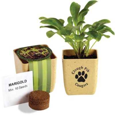 Flower Pot Set w/Marigold Seeds-1