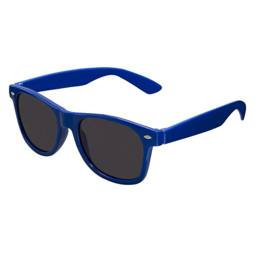 Polarized Sunglasses-3