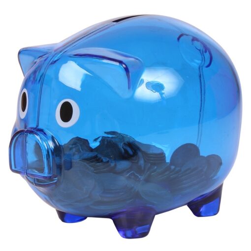 Translucent Piggy Bank-2